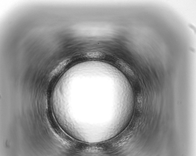 X0000093770734200710301205