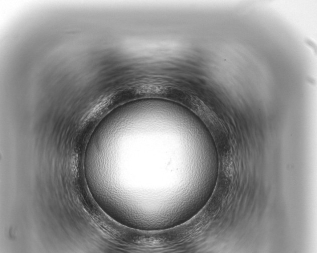 X0000093770735200710301205