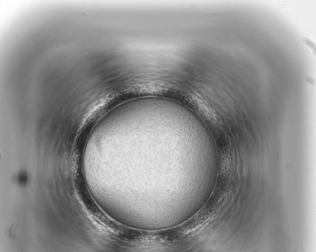 X0000093770736200710301205