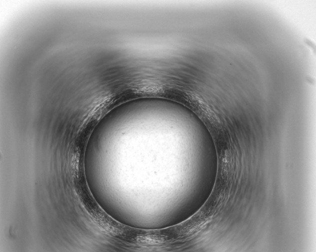 X0000093770739200710301205