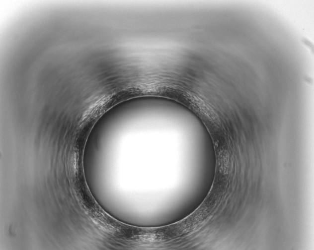 X0000093770740200710301205