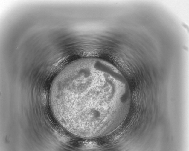 X0000093770741200710301205