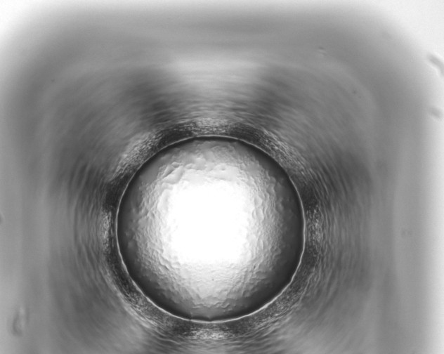 X0000093770742200710301205