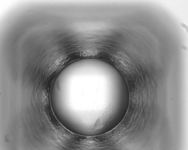 X0000093770743200710301205