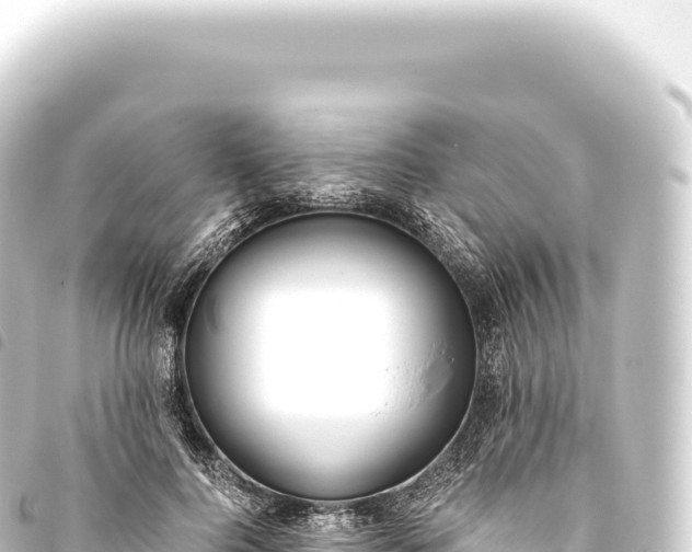 X0000093770744200710301205