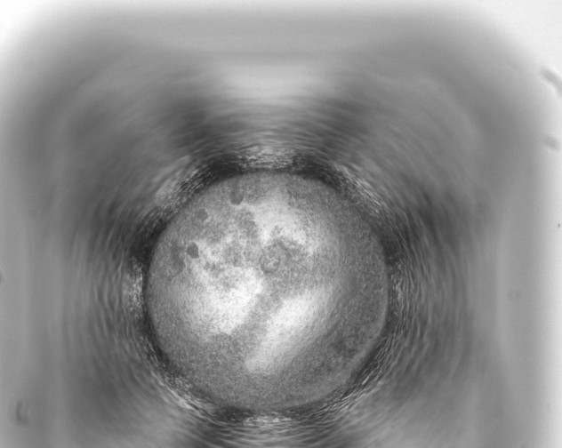 X0000093770745200710301205