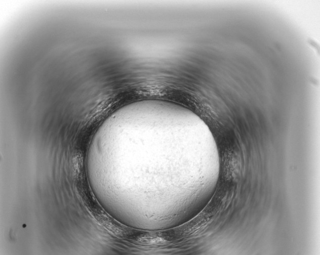 X0000093770747200710301205