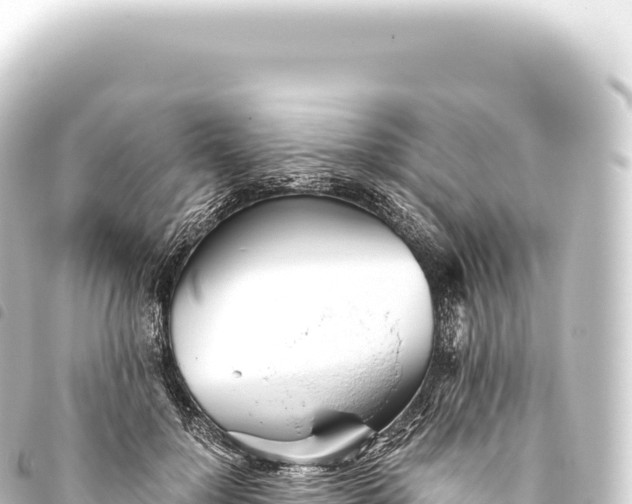 X0000093770748200710301205