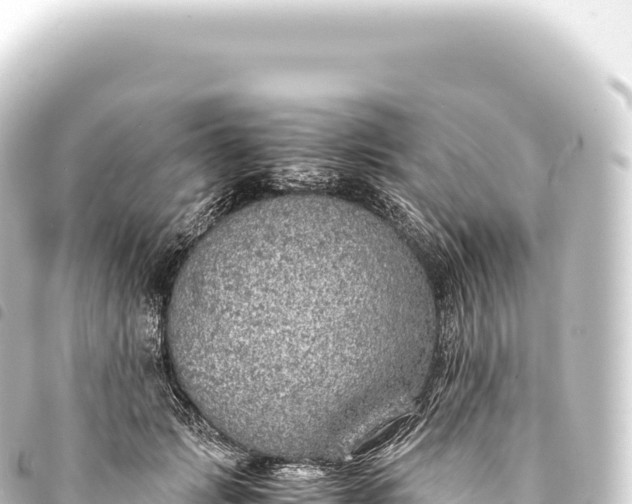 X0000093770749200710301205