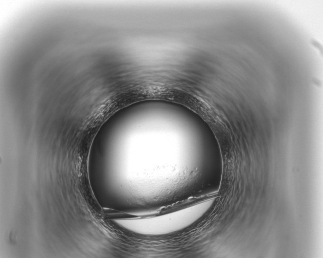 X0000093770750200710301205