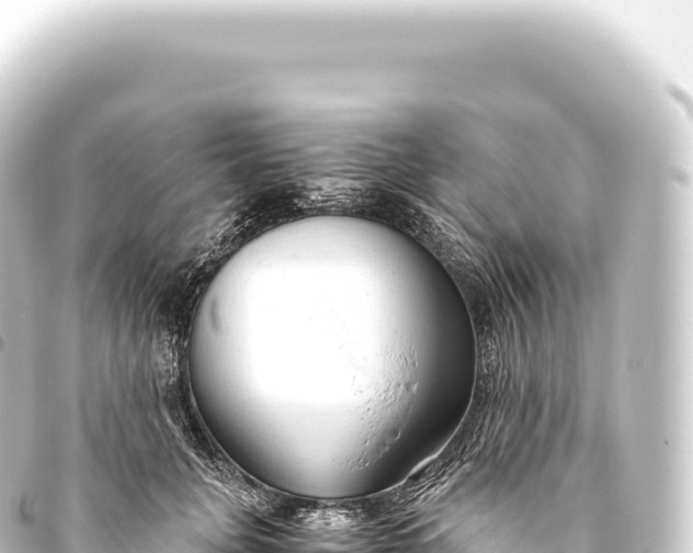 X0000093770751200710301205