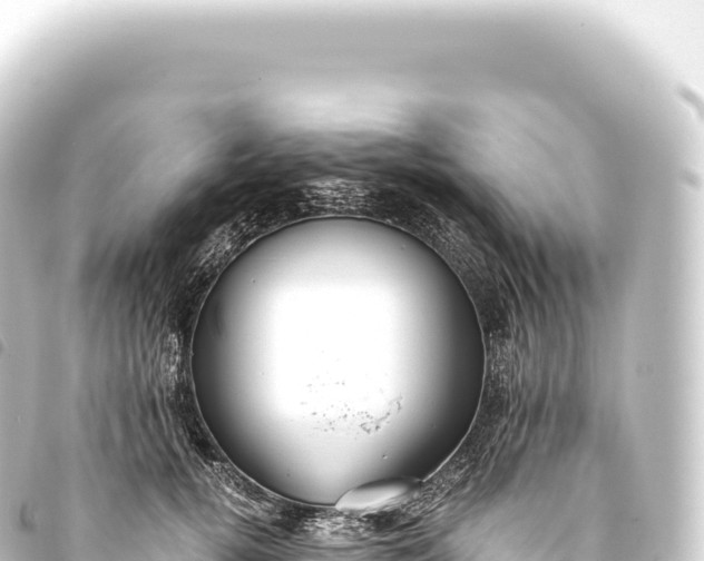 X0000093770752200710301205