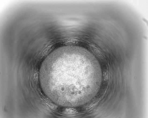 X0000093770753200710301205