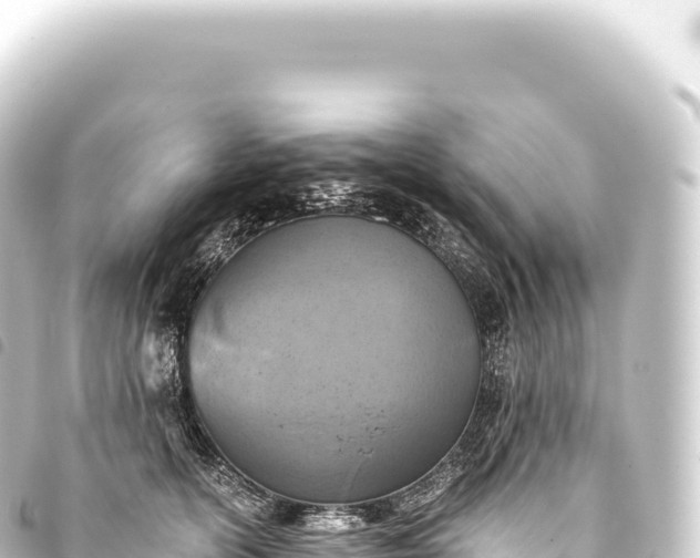 X0000093770754200710301205