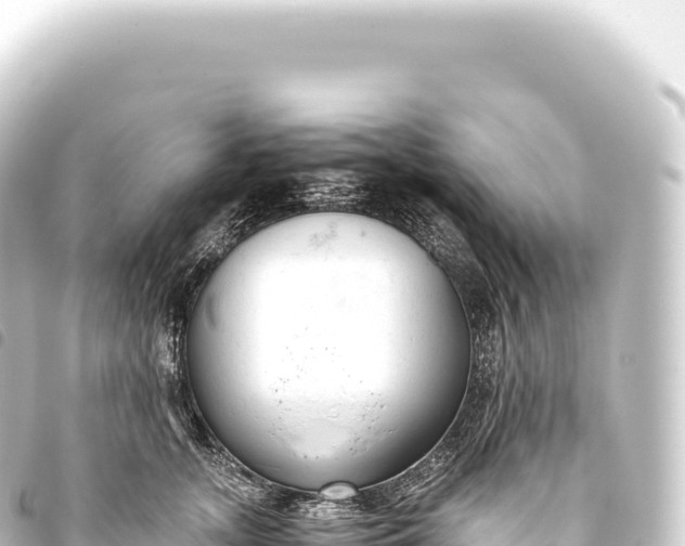 X0000093770755200710301205