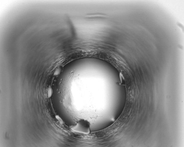 X0000093770756200710301205