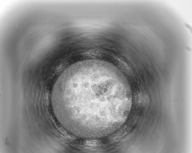 X0000093770757200710301205