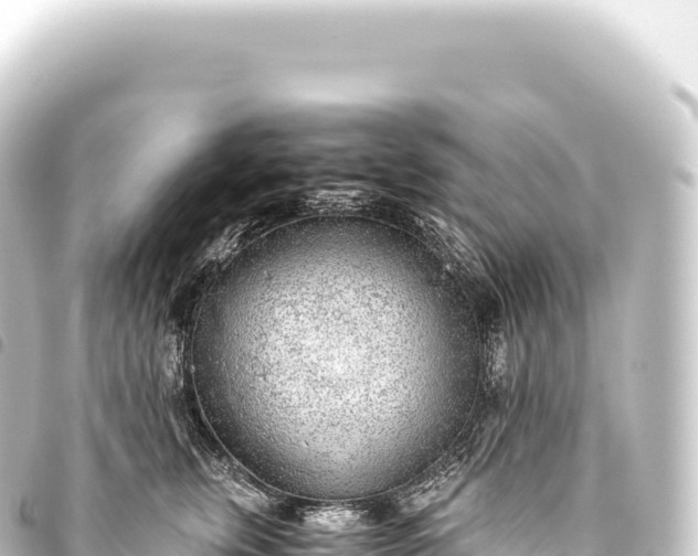 X0000093770759200710301205