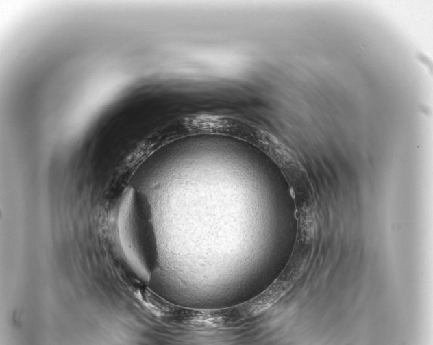 X0000093770760200710301205