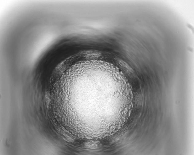 X0000093770761200710301205