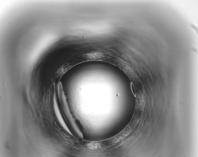 X0000093770762200710301205