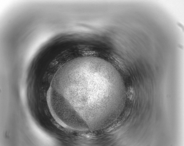 X0000093770763200710301205