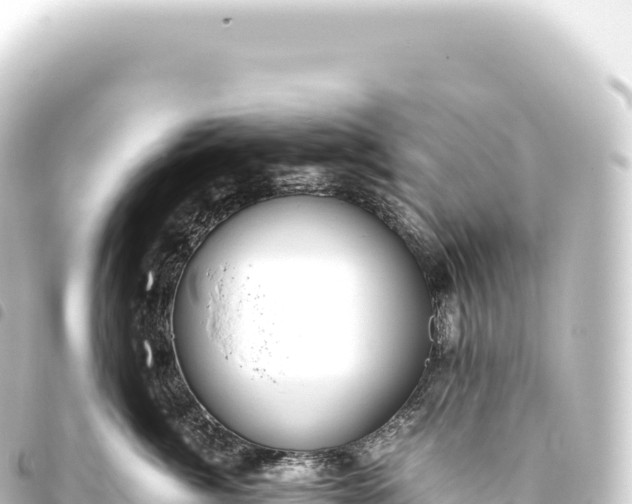 X0000093770764200710301205