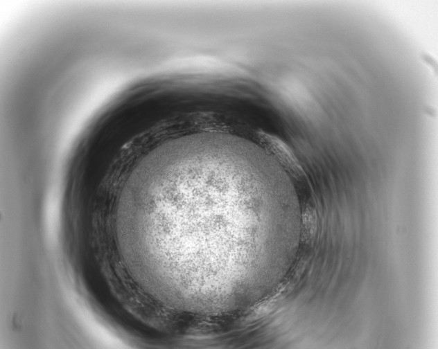 X0000093770765200710301205