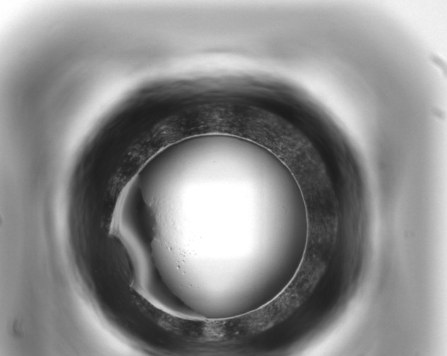 X0000093770766200710301205