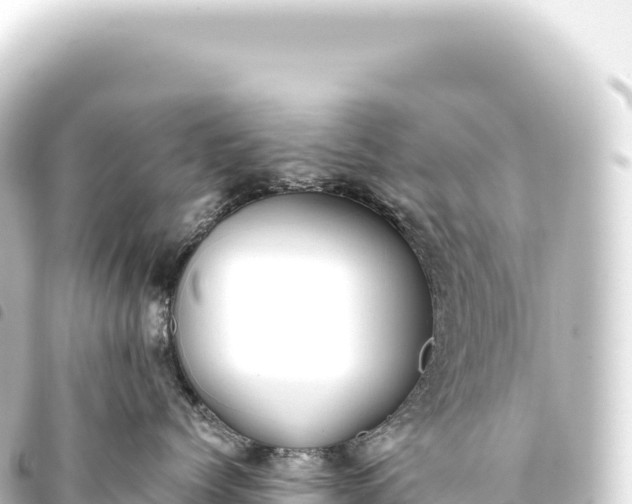 X0000093770768200710301205