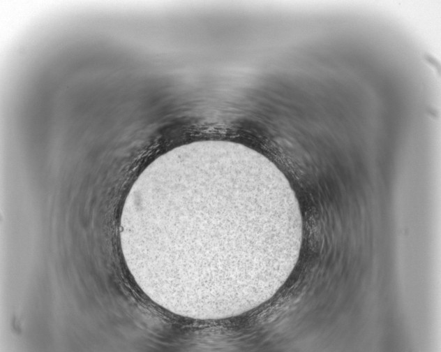 X0000093770769200710301204