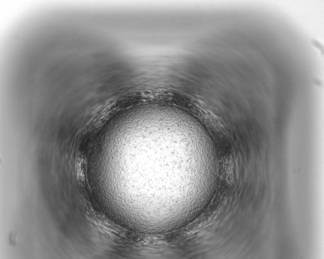 X0000093770770200710301204