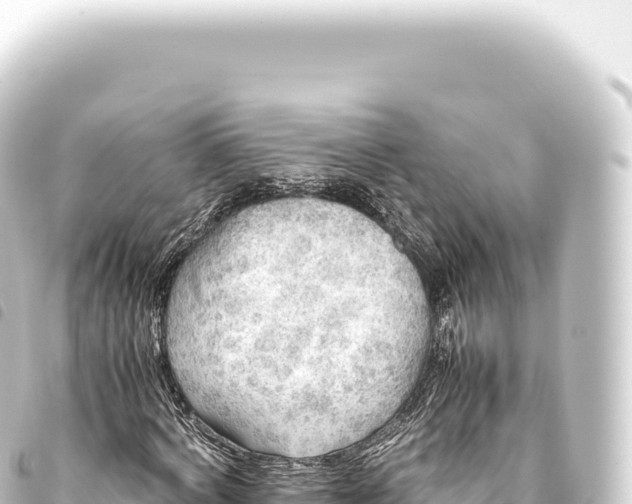 X0000093770772200710301204