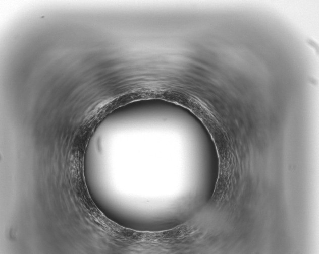 X0000093770773200710301204