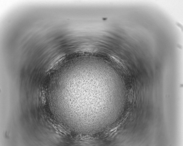 X0000093770774200710301204