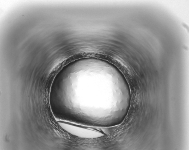 X0000093770775200710301204