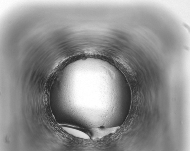 X0000093770776200710301204