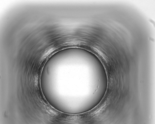 X0000093770778200710301204