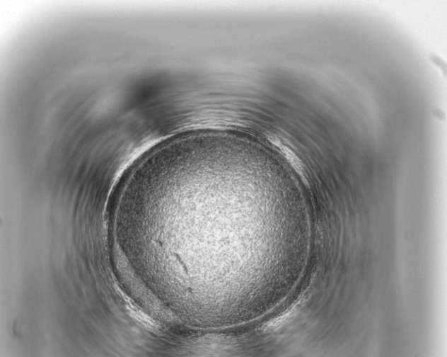 X0000093770779200710301204