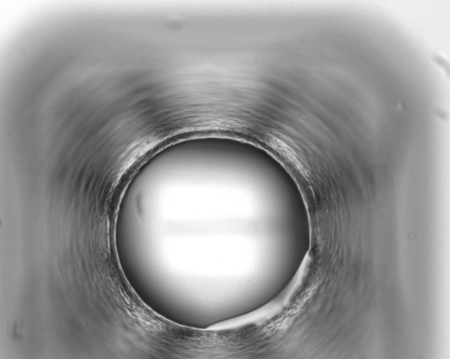 X0000093770781200710301204