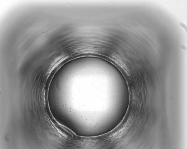 X0000093770782200710301204