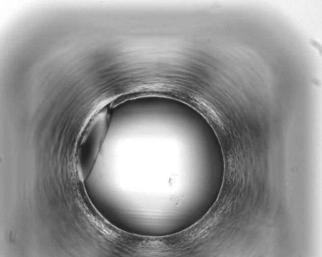 X0000093770784200710301204