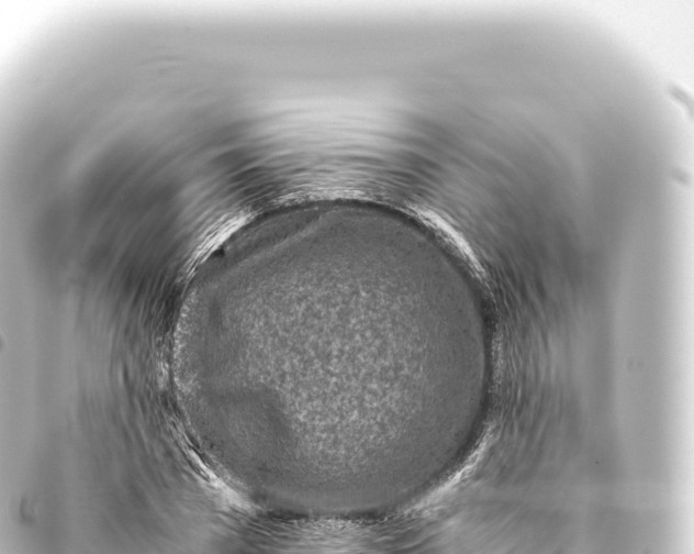 X0000093770785200710301204