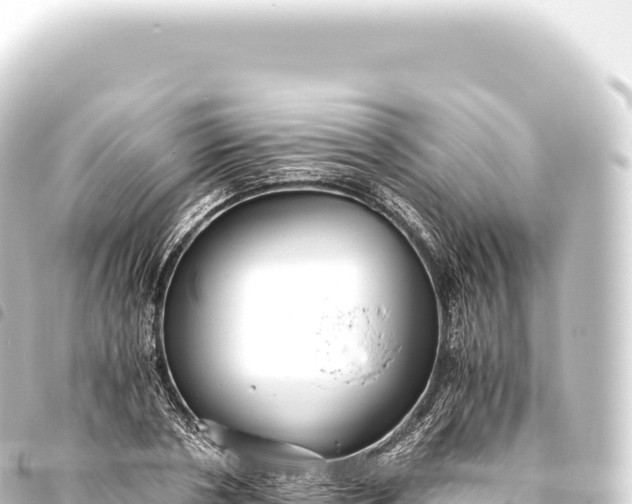 X0000093770786200710301204