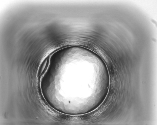 X0000093770787200710301204