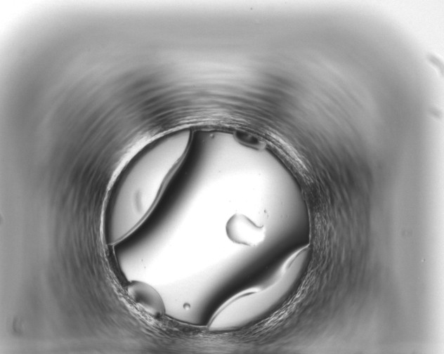 X0000093770788200710301204