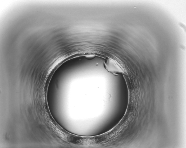 X0000093770789200710301204