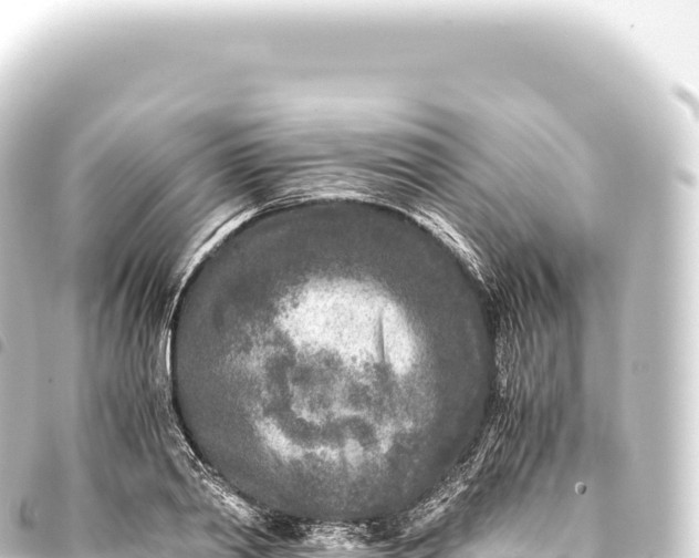 X0000093770790200710301204