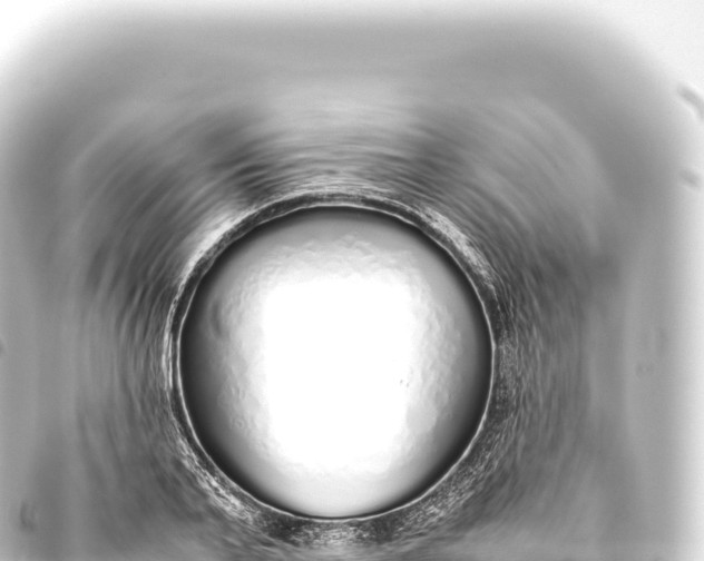 X0000093770791200710301204