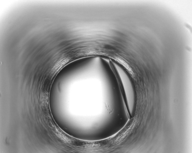 X0000093770793200710301204